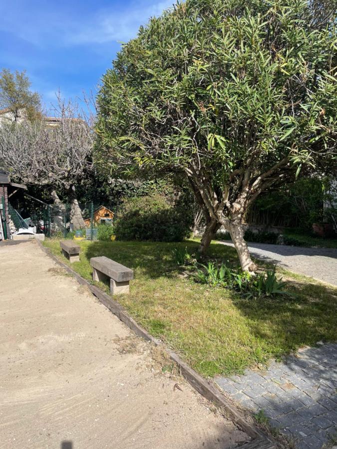 Sublime Haut De Villa Apercu Mer /Hippodrome / Cagnes-sur-Mer Exterior foto